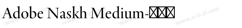 Adobe Naskh Medium字体转换 Adobe Naskh Medium字体转换